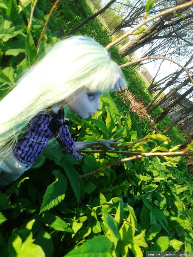 Майская прогулка — Куклы Monster High и Ever After High: G1 (фото 9)