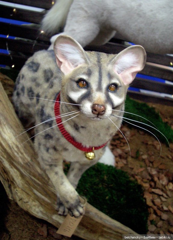 Доллскар-2023 Люди и звери (фото 3)