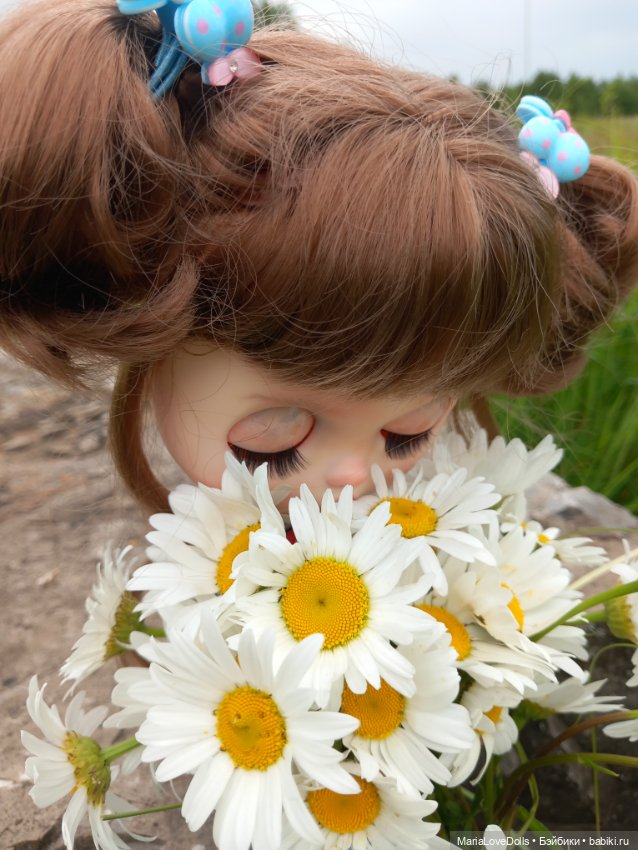Алискины прогулки — Куклы Blythe (Блайз) ООАК: кастом
