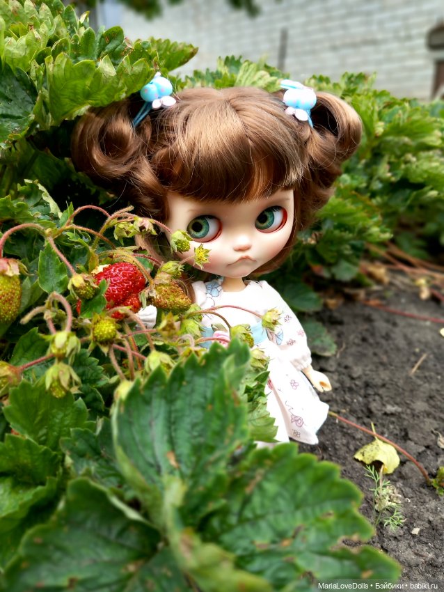 Алискины прогулки — Куклы Blythe (Блайз) ООАК: кастом