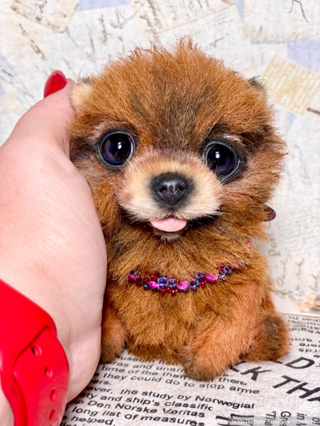 Flame 🔥 — Реалистичные игрушки и звери (Натюр): собаки