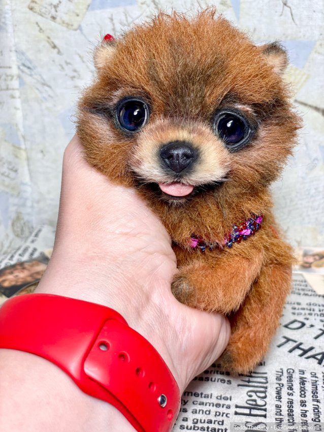 Flame 🔥 — Реалистичные игрушки и звери (Натюр): собаки