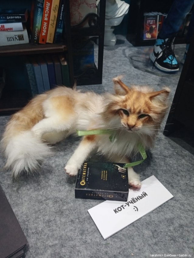 О моей любви к Доллскар! 2023