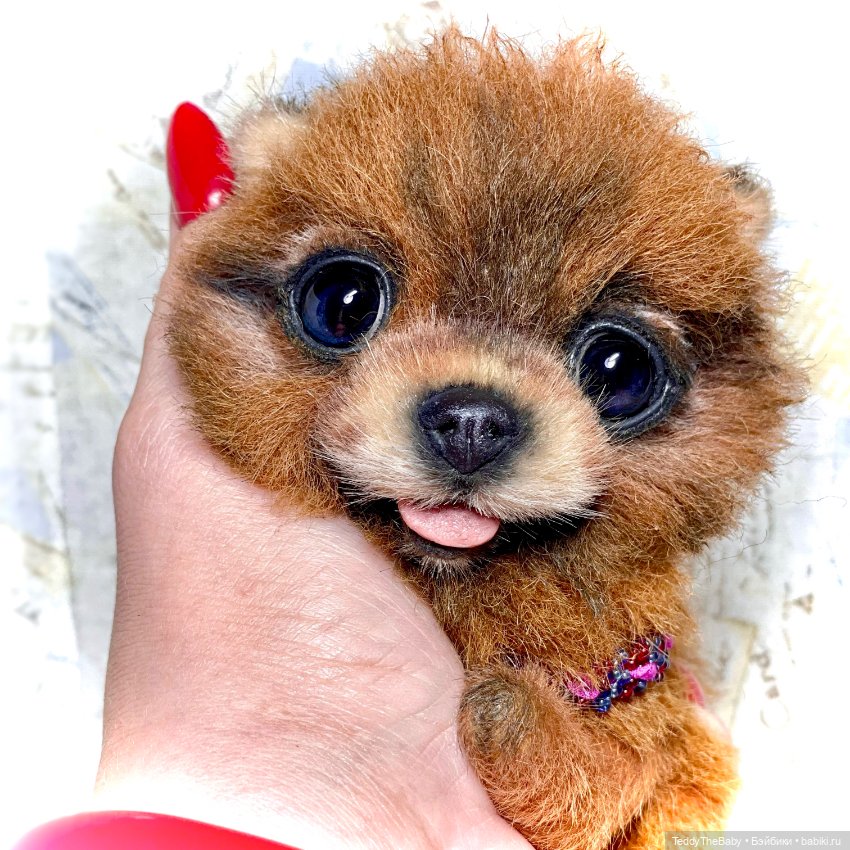 Flame 🔥 — Реалистичные игрушки и звери (Натюр): собаки