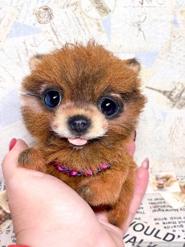 Flame 🔥 — Реалистичные игрушки и звери (Натюр): собаки (фото 2)