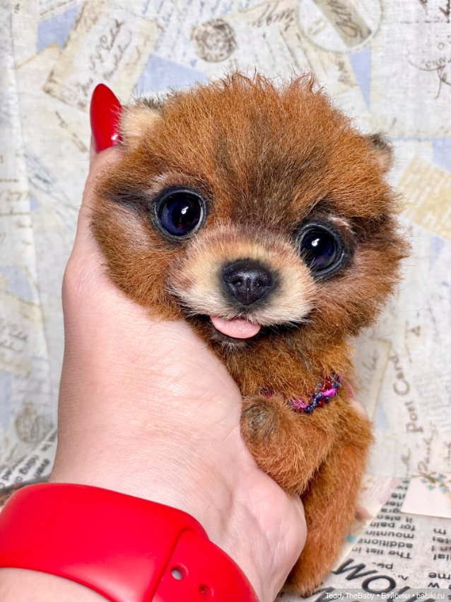 Flame 🔥 — Реалистичные игрушки и звери (Натюр): собаки