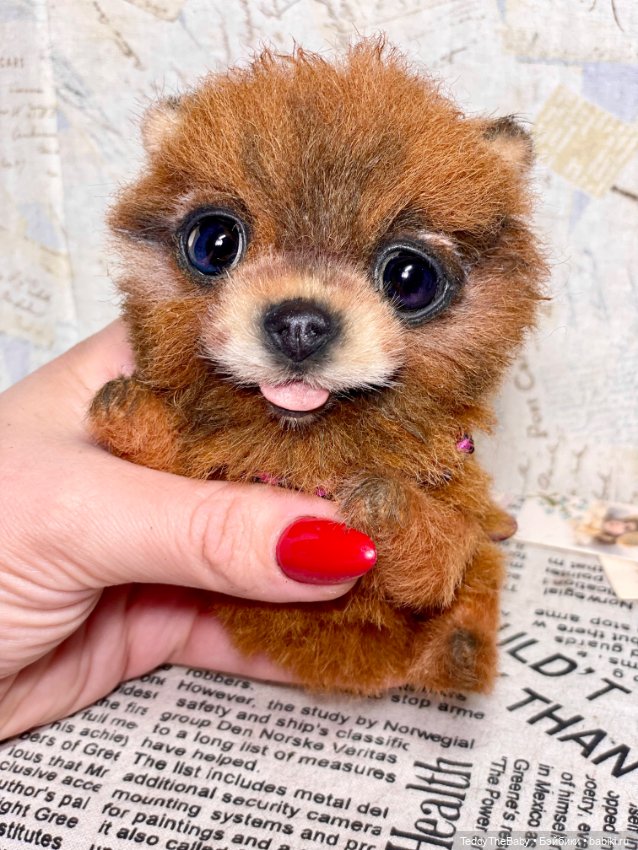 Flame 🔥 — Реалистичные игрушки и звери (Натюр): собаки