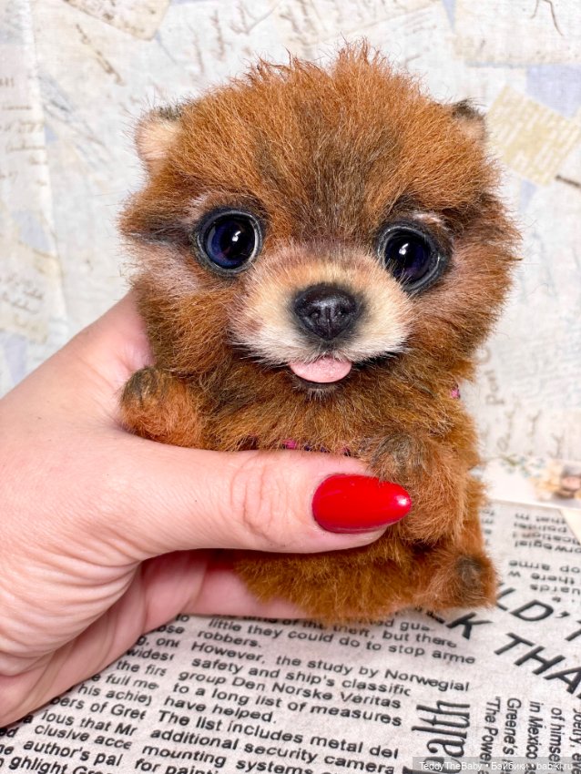 Flame 🔥 — Реалистичные игрушки и звери (Натюр): собаки