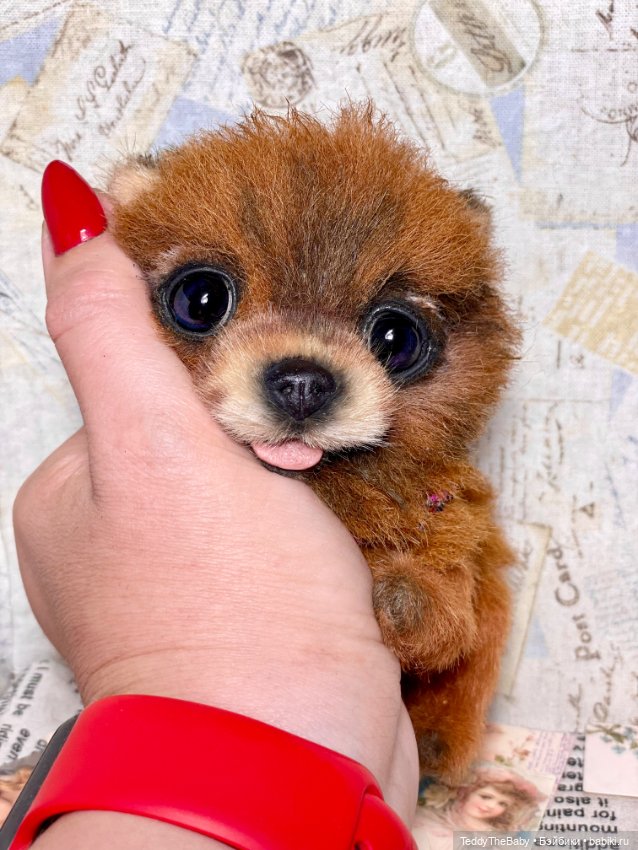 Flame 🔥 — Реалистичные игрушки и звери (Натюр): собаки