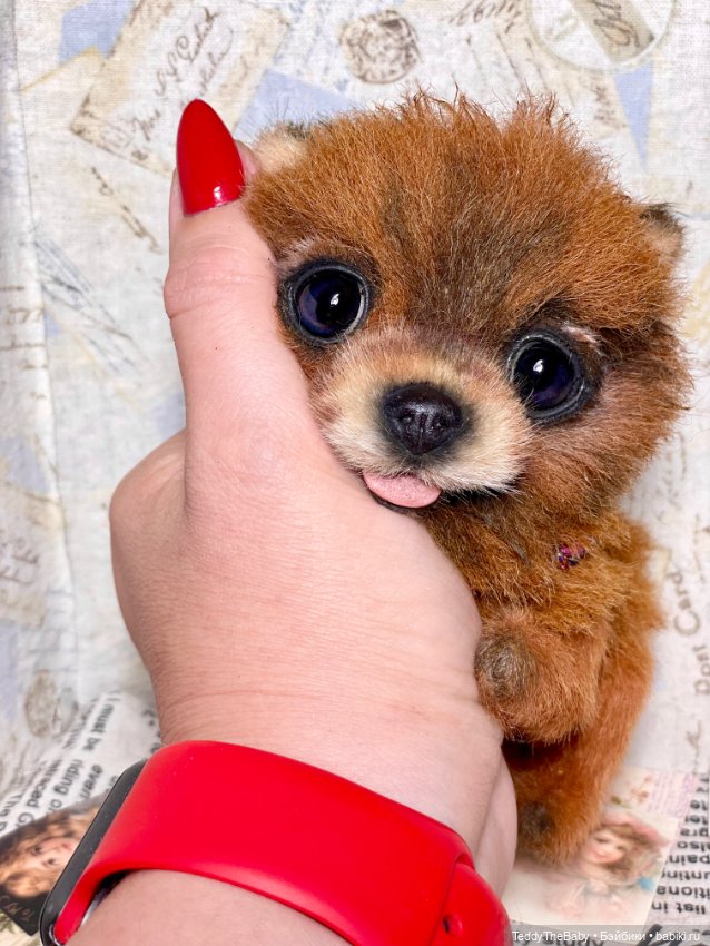 Flame 🔥 — Реалистичные игрушки и звери (Натюр): собаки