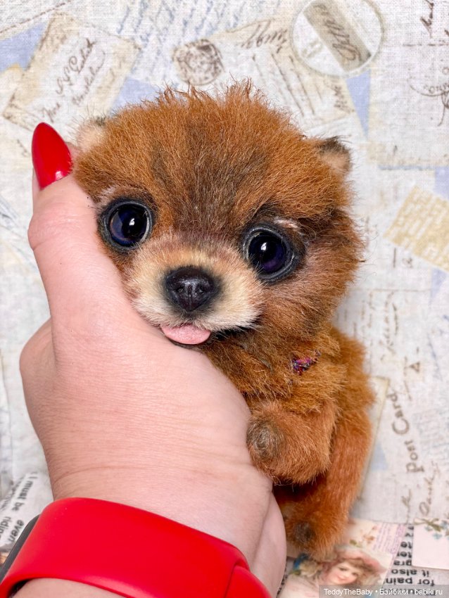 Flame 🔥 — Реалистичные игрушки и звери (Натюр): собаки