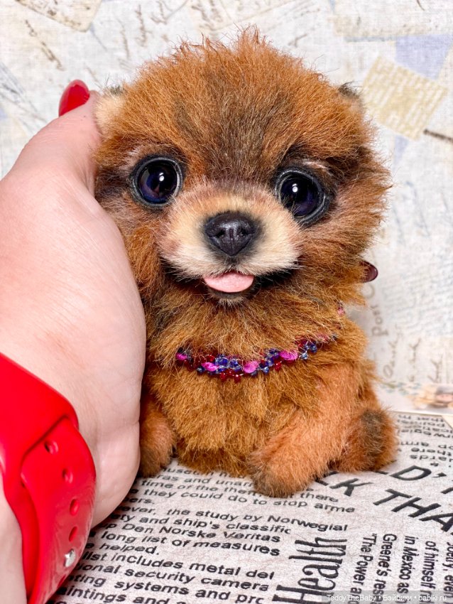 Flame 🔥 — Реалистичные игрушки и звери (Натюр): собаки