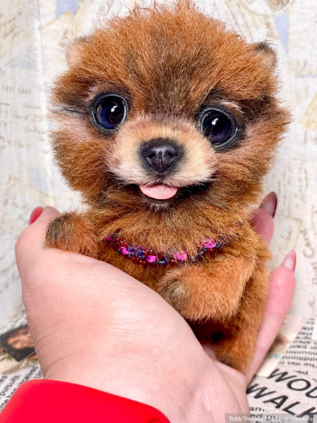 Flame 🔥 — Реалистичные игрушки и звери (Натюр): собаки (фото 6)