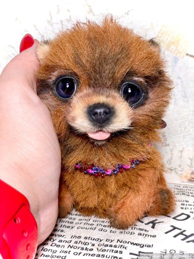 Flame 🔥 — Реалистичные игрушки и звери (Натюр): собаки