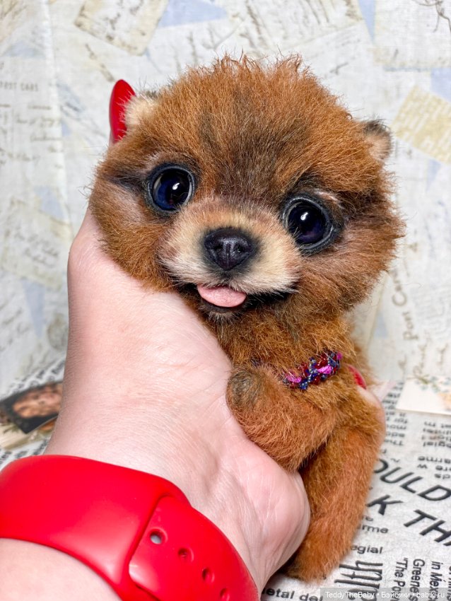 Flame 🔥 — Реалистичные игрушки и звери (Натюр): собаки