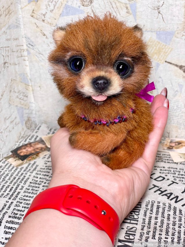 Flame 🔥 — Реалистичные игрушки и звери (Натюр): собаки