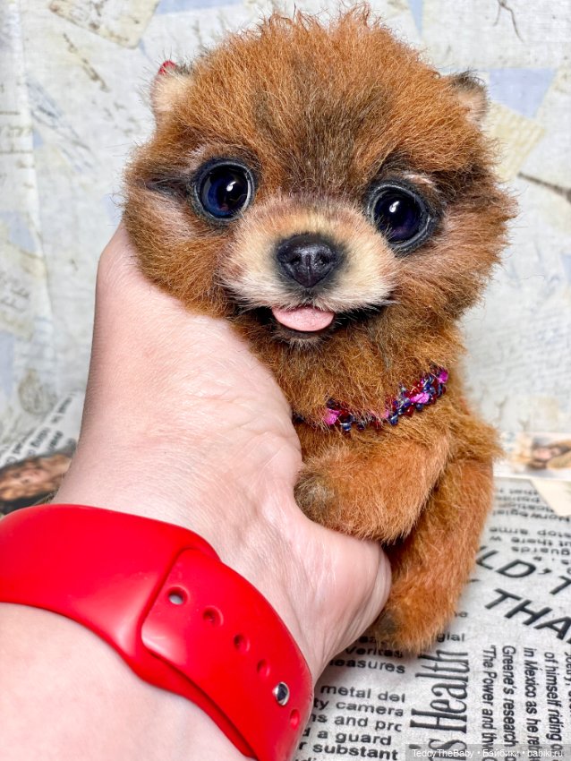 Flame 🔥 — Реалистичные игрушки и звери (Натюр): собаки