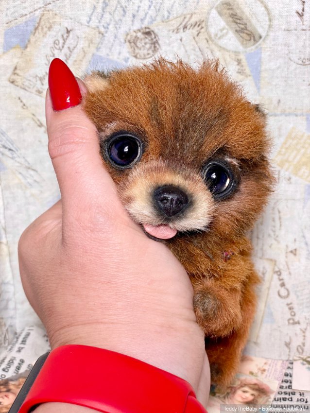 Flame 🔥 — Реалистичные игрушки и звери (Натюр): собаки