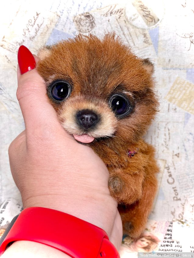 Flame 🔥 — Реалистичные игрушки и звери (Натюр): собаки