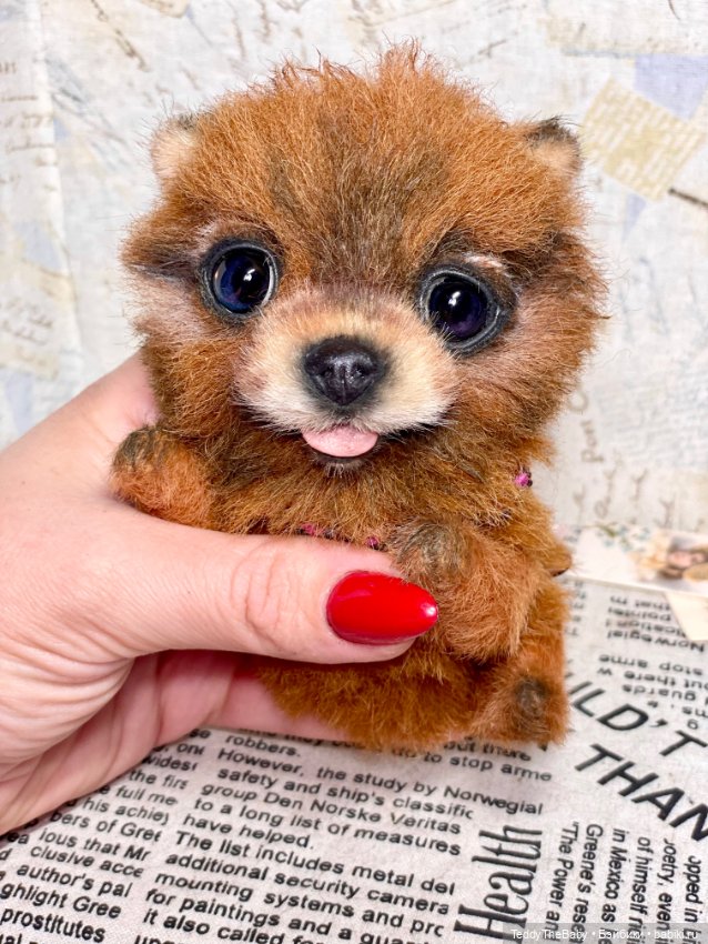 Flame 🔥 — Реалистичные игрушки и звери (Натюр): собаки