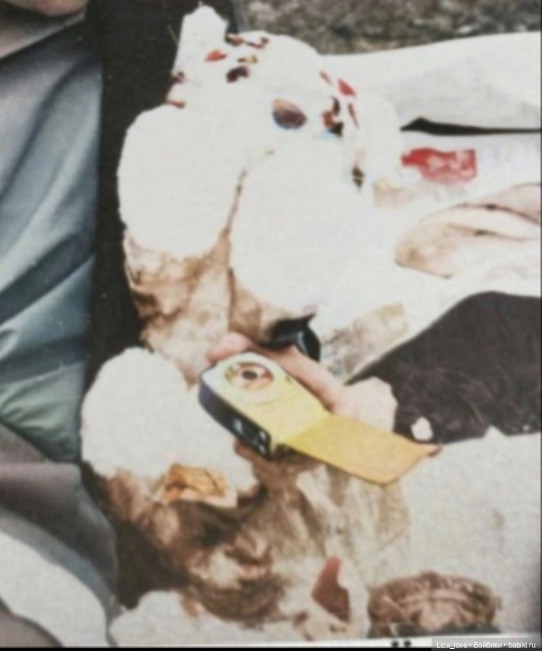 Разыскивается желтый тигр! Отличительная черта- большие белые лапы (фото 4)