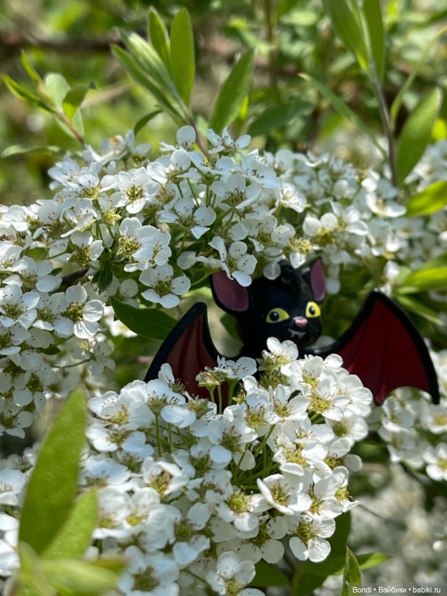 Монстры на каникулах, которые появились у меня (фото 3)