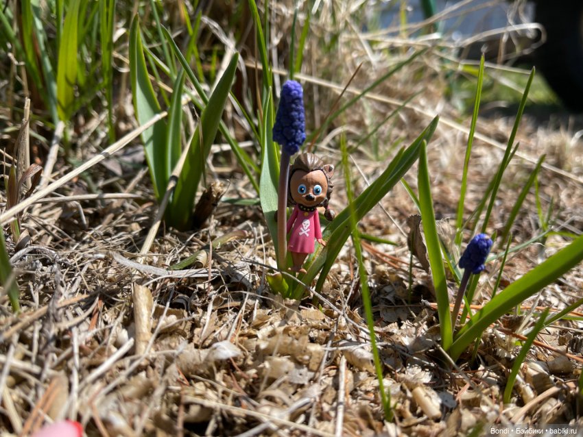 Монстры на каникулах, которые появились у меня