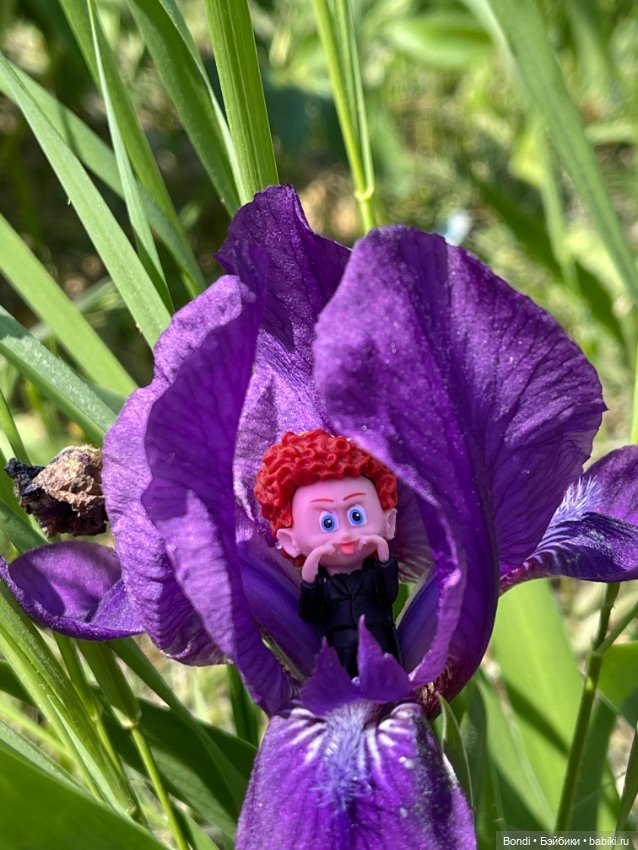 Монстры на каникулах, которые появились у меня (фото 5)