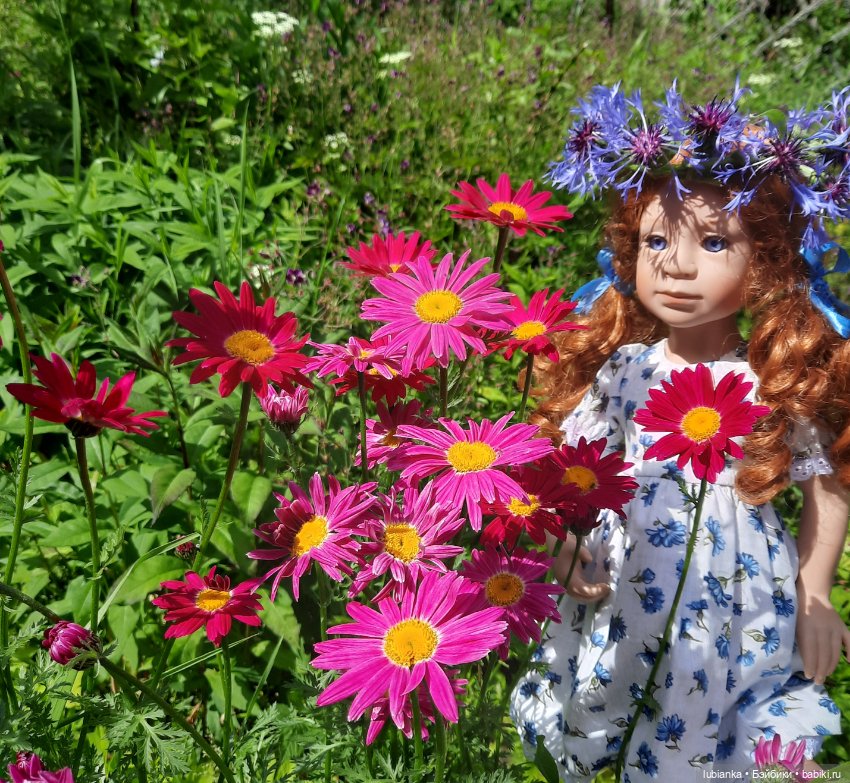 Сегодня лето в васильках🤗💙