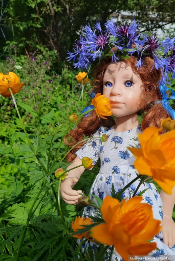 Сегодня лето в васильках🤗💙