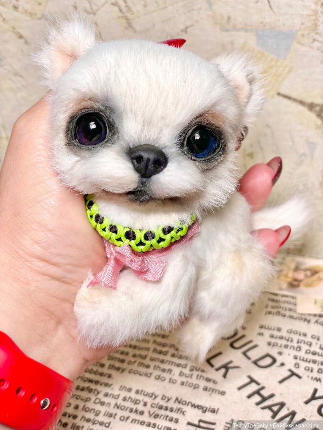 Cindy🐾 — Реалистичные игрушки и звери (Натюр): собаки