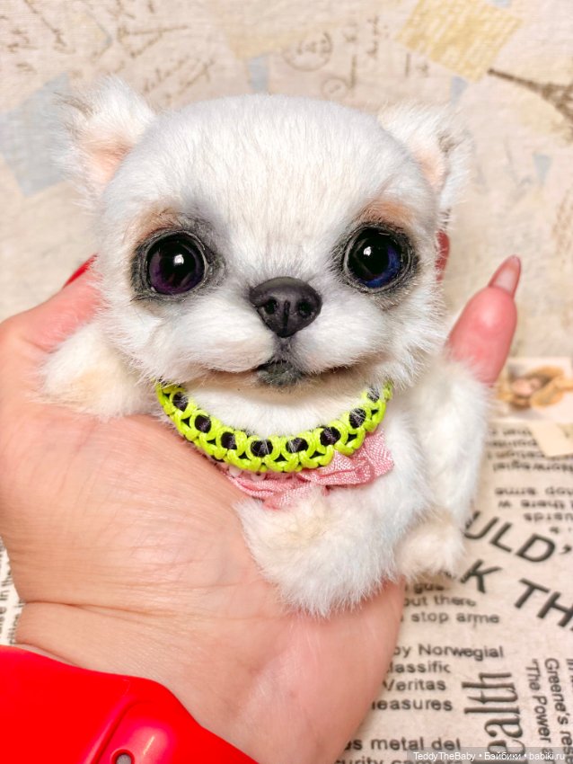 Cindy🐾 — Реалистичные игрушки и звери (Натюр): собаки