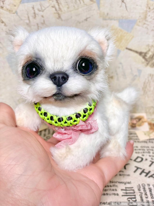 Cindy🐾 — Реалистичные игрушки и звери (Натюр): собаки