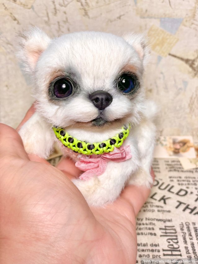 Cindy🐾 — Реалистичные игрушки и звери (Натюр): собаки