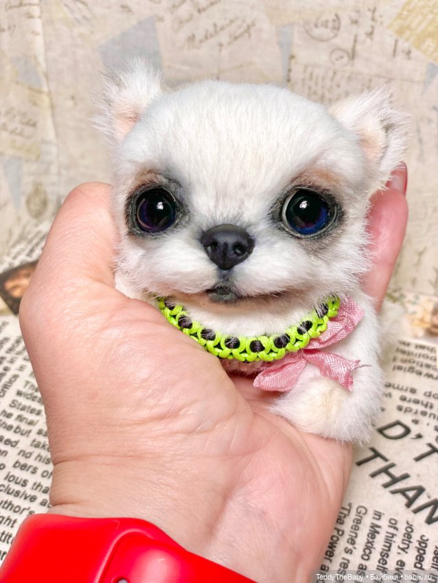 Cindy🐾 — Реалистичные игрушки и звери (Натюр): собаки (фото 6)