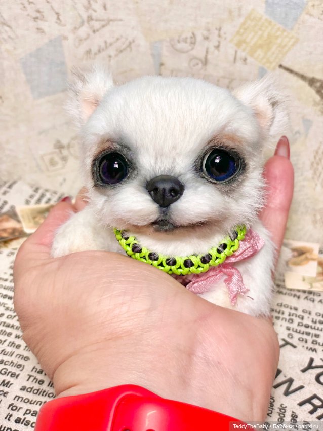 Cindy🐾 — Реалистичные игрушки и звери (Натюр): собаки (фото 5)