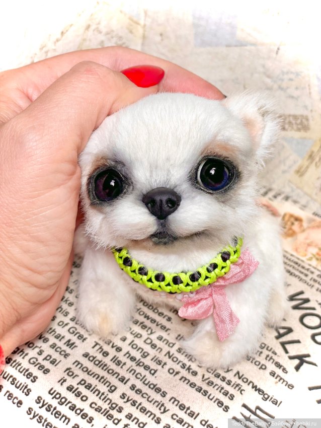 Cindy🐾 — Реалистичные игрушки и звери (Натюр): собаки