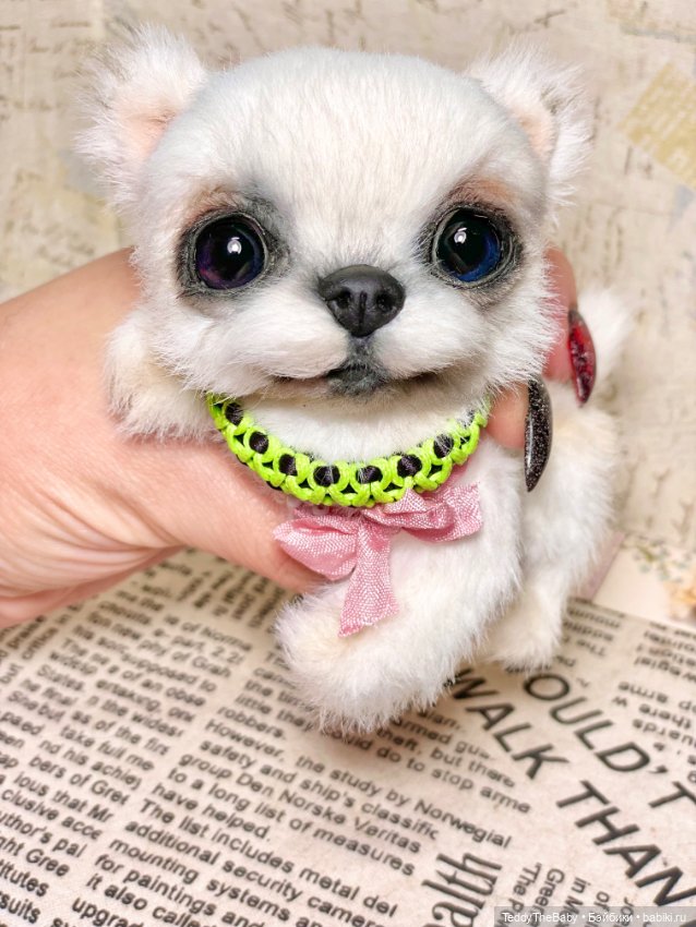 Cindy🐾 — Реалистичные игрушки и звери (Натюр): собаки