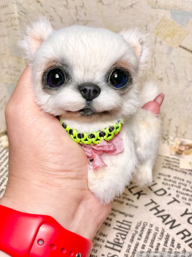 Cindy🐾 — Реалистичные игрушки и звери (Натюр): собаки