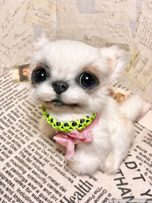 Cindy🐾 — Реалистичные игрушки и звери (Натюр): собаки