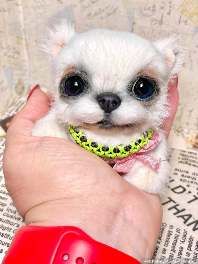 Cindy🐾 — Реалистичные игрушки и звери (Натюр): собаки (фото 8)