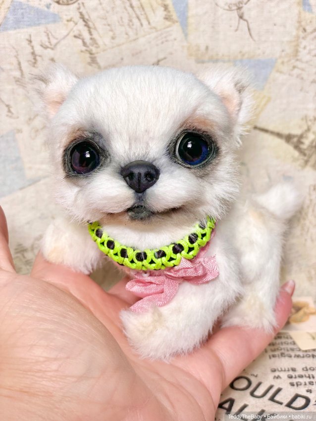 Cindy🐾 — Реалистичные игрушки и звери (Натюр): собаки