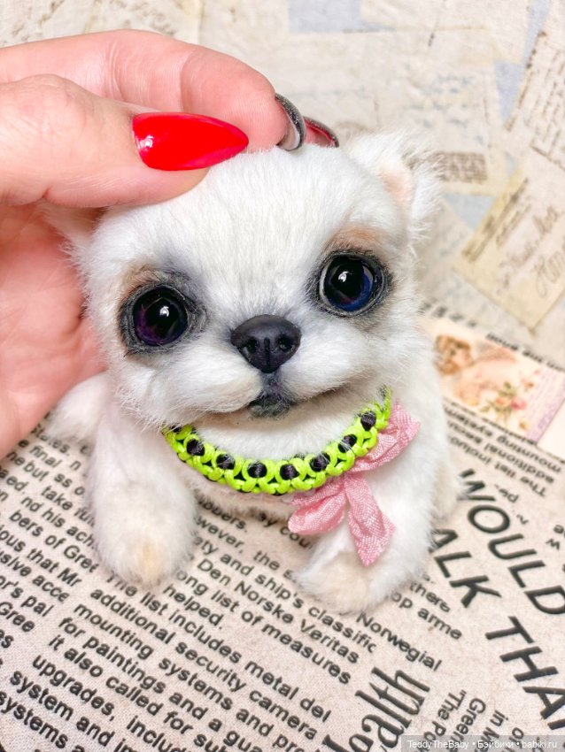 Cindy🐾 — Реалистичные игрушки и звери (Натюр): собаки