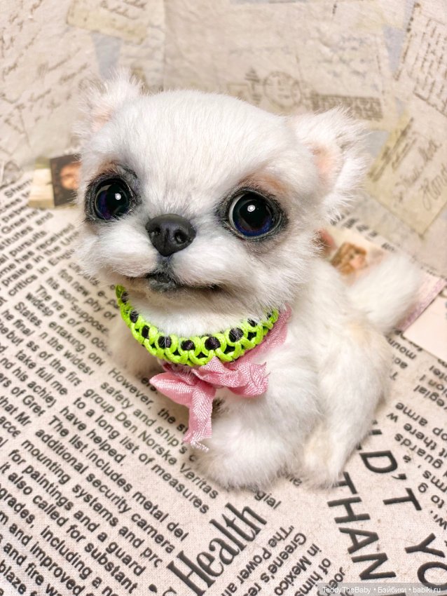 Cindy🐾 — Реалистичные игрушки и звери (Натюр): собаки