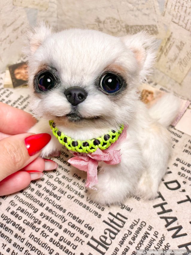 Cindy🐾 — Реалистичные игрушки и звери (Натюр): собаки