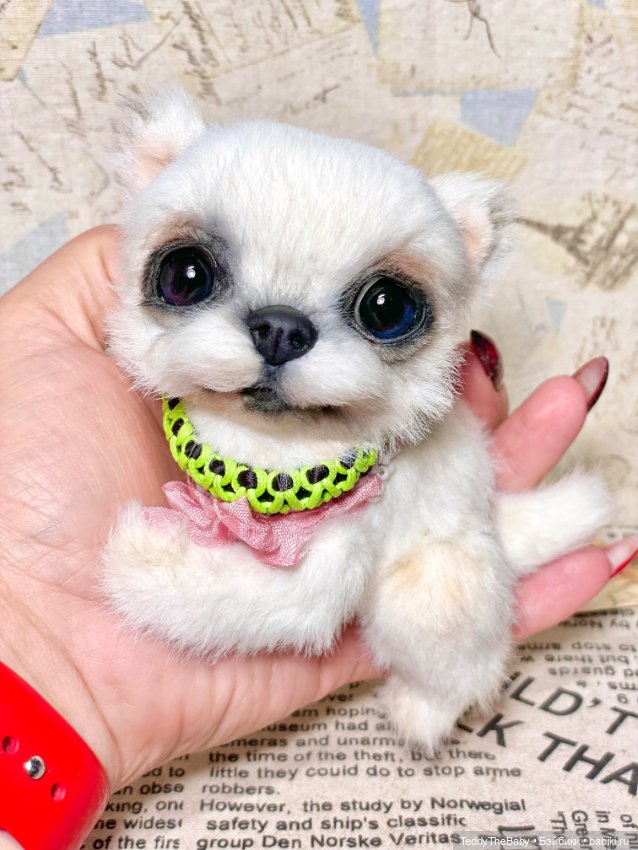 Cindy🐾 — Реалистичные игрушки и звери (Натюр): собаки