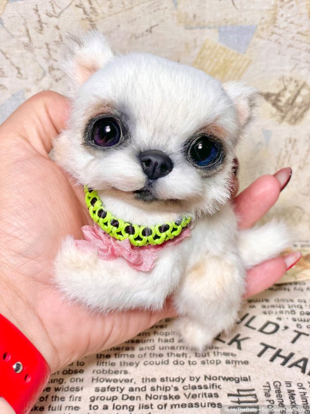 Cindy🐾 — Реалистичные игрушки и звери (Натюр): собаки