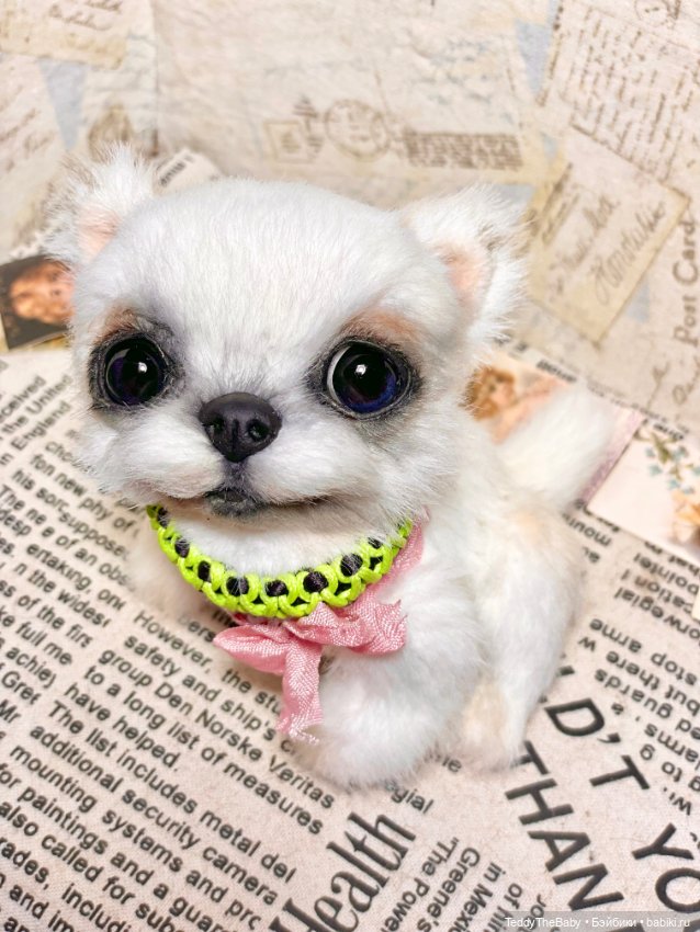 Cindy🐾 — Реалистичные игрушки и звери (Натюр): собаки