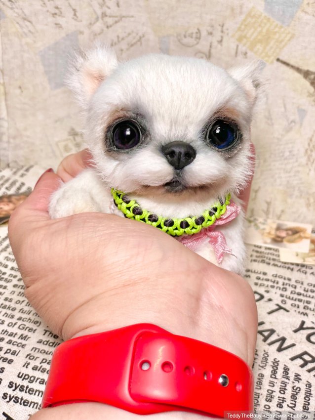 Cindy🐾 — Реалистичные игрушки и звери (Натюр): собаки (фото 3)