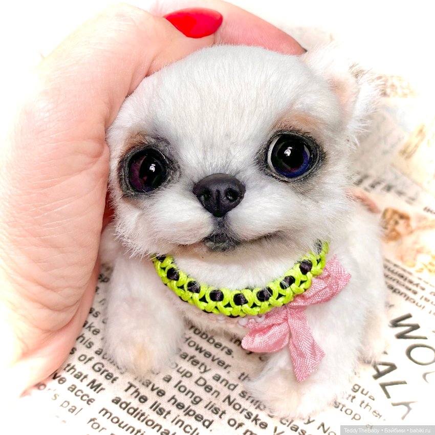 Cindy🐾 — Реалистичные игрушки и звери (Натюр): собаки (фото 2)